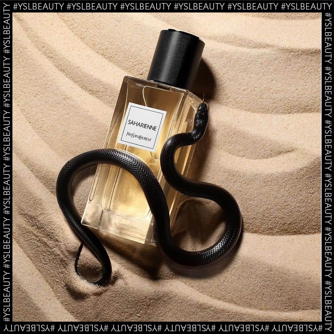 Yves Saint Laurent Beautyさんのインスタグラム写真 - (Yves Saint Laurent BeautyInstagram)「Wrap yourself in the intense and animalistic scent of neroli and musk. SAHARIENNE - LE VESTIAIRE DES PARFUMS  @davidnewtonphotography #yslbeauty #regram #saharienne」9月23日 21時00分 - yslbeauty