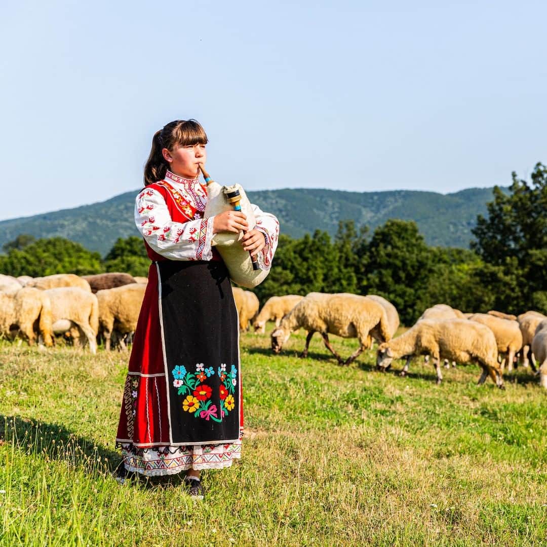 ルフトハンザさんのインスタグラム写真 - (ルフトハンザInstagram)「While the sheep graze peacefully on the field, the sound of the traditional Gaida can be heard across the mountain range. #Lufthansa #EnrichingLife #Bulgaria」9月23日 21時01分 - lufthansa