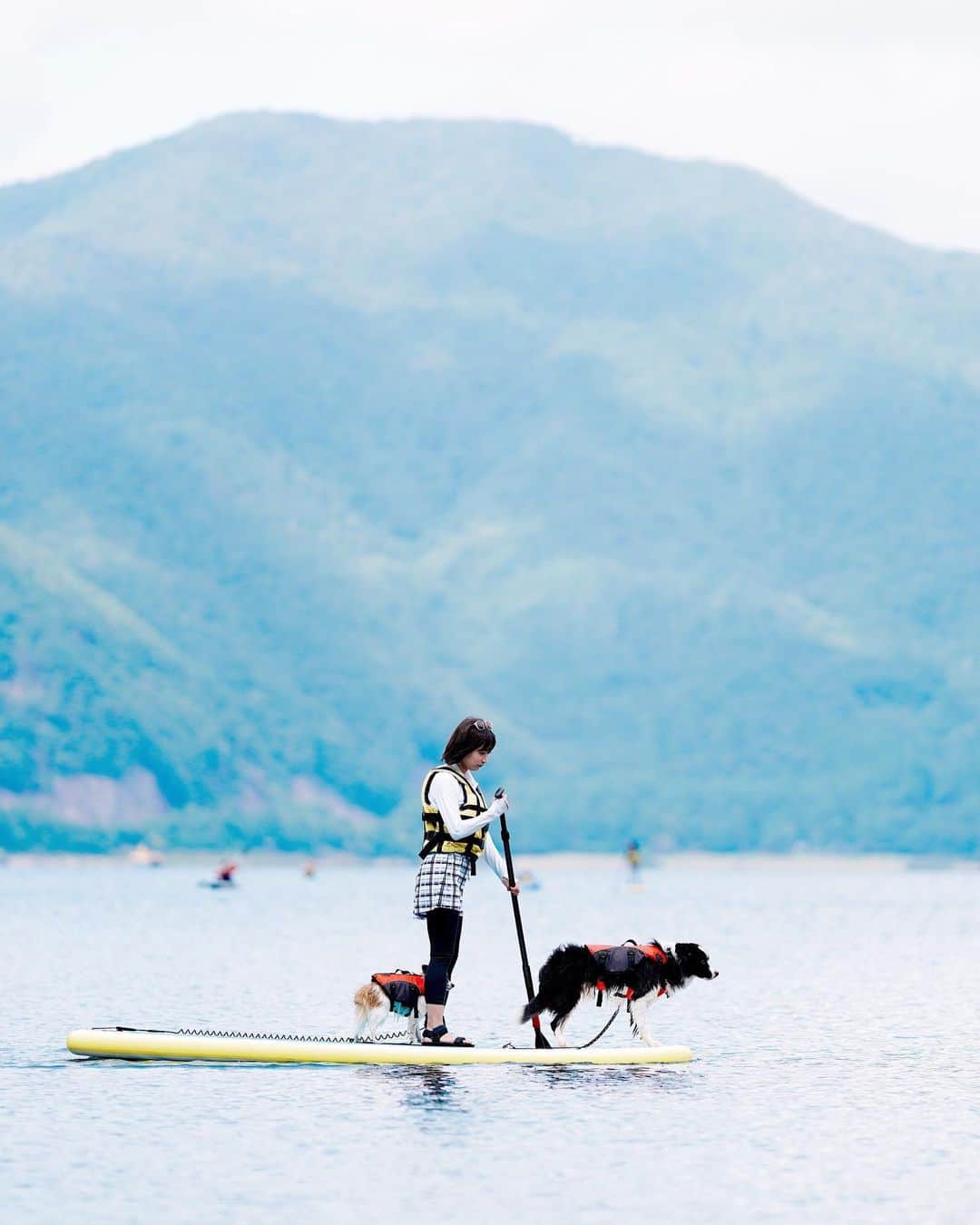 sorayuchiのインスタグラム：「SUP🏄‍♀️🐕 ・ 念願の初SUPをしてきました( ´∀｀) 運動音痴の私でも一回も湖に落ちずにできたのでおススメ☺︎✨ バンジーとかスカイダイビングとか今年はたくさんアクティビティに挑戦したい◎ @wacamera さんが素敵に撮ってくれてた♡」