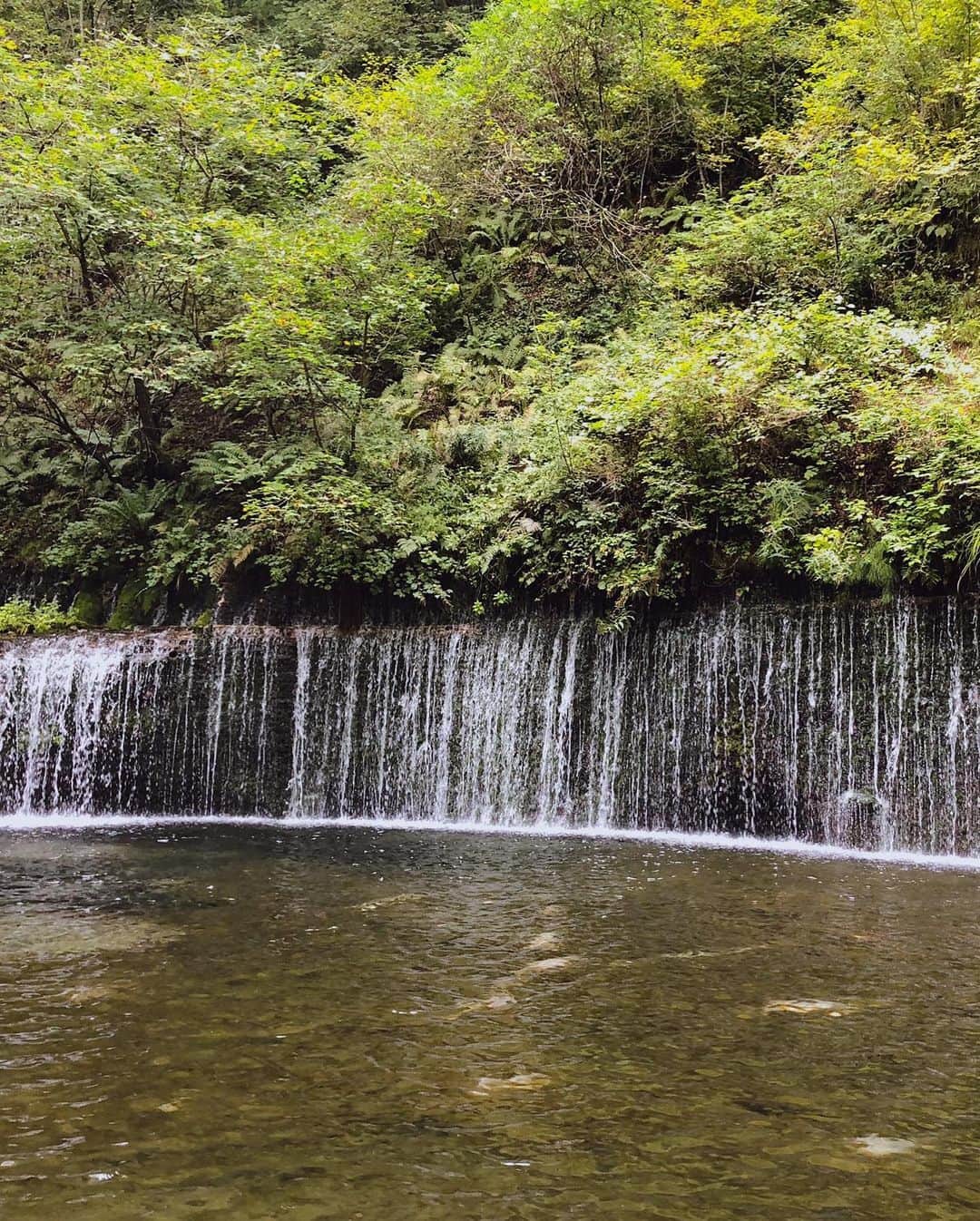 Mameさんのインスタグラム写真 - (MameInstagram)「美味しい空気を沢山もらって、充電完了です🍀」9月23日 21時16分 - ma3me3zo3