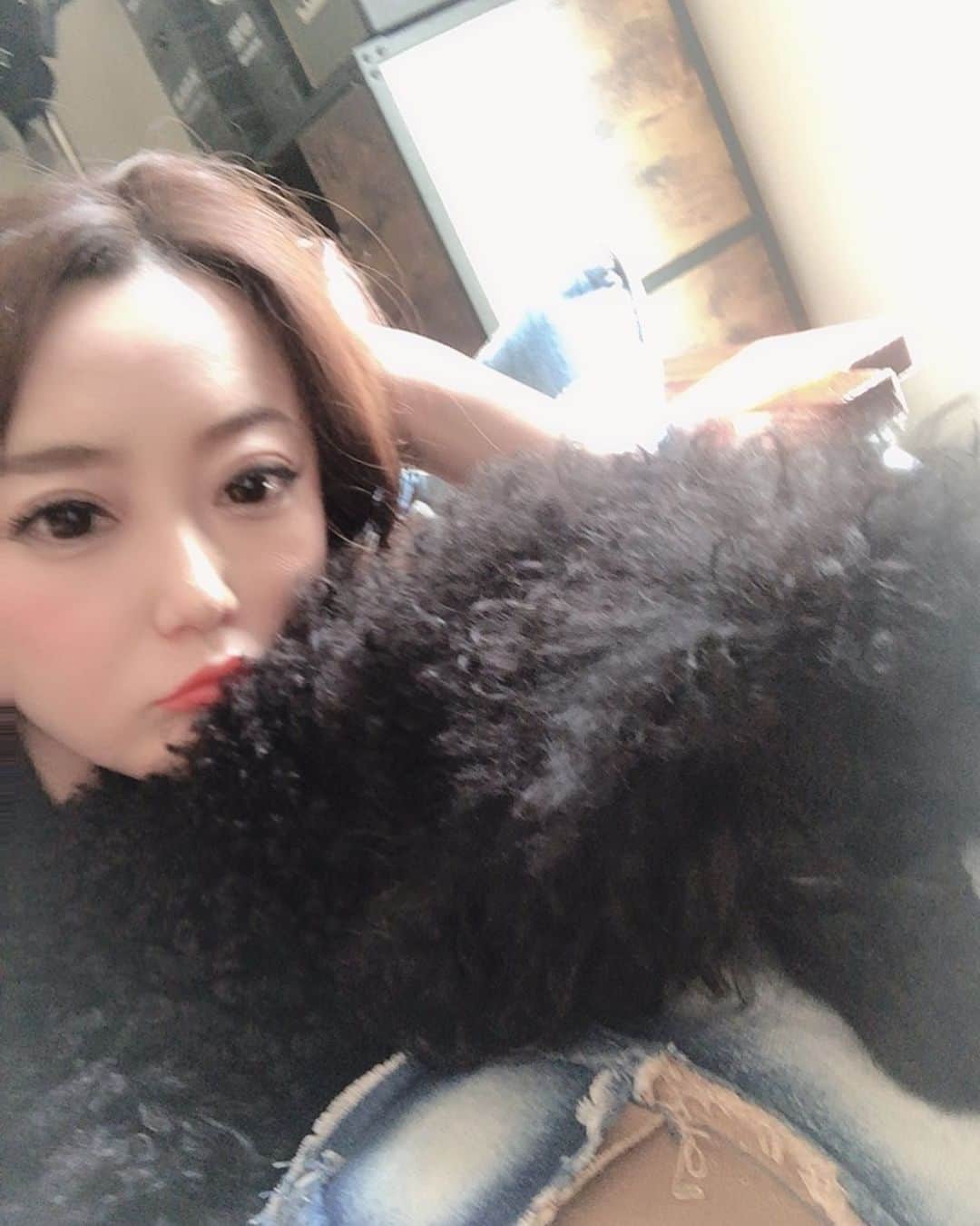 鮎川りなさんのインスタグラム写真 - (鮎川りなInstagram)「あっとゆう間に終わった4連休だったけど楽しかったー💓 久々の神戸では関西の言葉の掛け合いに 早いもん勝ち とゆうことを再認識させられたし大好きな @setsuko0916 もめっちゃ元気で嬉しかった☀️💕 素敵でお洒落なバーも教えてもらったよ💕 大人に飲みたいときは @hide_jose_havana さんがやってる #ロシャス ってバーがおススメです☺︎ 都内帰ってきてからはラーメン食べまくり過ぎたから明日からまた頑張らなきゃなーw フィギアもナイルも安定に可愛いしほんと素敵な連休でした💕 昼寝し過ぎて起きたら顔の前にフィギアがいてびっくりしてる写真なんだけどなんか顔がふてぶてしいwわたしw 彼のクロワッサン爆買い🥐事件もありましたw #北海道産  楽しかったー☺︎ ありがとう💕💕 #happy #holiday #いぬ連れて旅行行きたいなー☺︎ #摂子にチューされて満面の笑みのわたしが団子にしか見えないw」9月23日 21時28分 - ayurina_oy