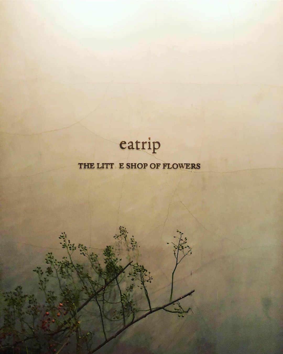 湯浅喬子のグルメインスタ