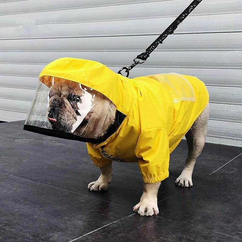 French Bulldogさんのインスタグラム写真 - (French BulldogInstagram)「The days of smelly wet Frenchie are over ☔🌧 New Raincoats in @frenchie.world Shop 🆕️ LINK IN BIO 🔝🔝🔝 Model wearing: Spaceman French Bulldog Raincoat 👨‍🚀👩‍🚀 . . . . . #frenchie #frenchieoftheday #französischebulldogge #franskbulldog #frenchbull #fransebulldog #frenchbulldog #frenchiepuppy #dog #dogsofinstagram #americanbully #puppy #puppylove #bully #bulldog #bullyinstafeature #bulldogfrances #フレンチブルドッグ #フレンチブルドッグ #pug #englishbulldog #frenchyfanatics #frenchiesgram #frenchbulldogsofinstagram #frenchiesoverload #ilovemyfrenchie #batpig #buhi #squishyfacecrewbulldog」9月23日 22時51分 - frenchie.world