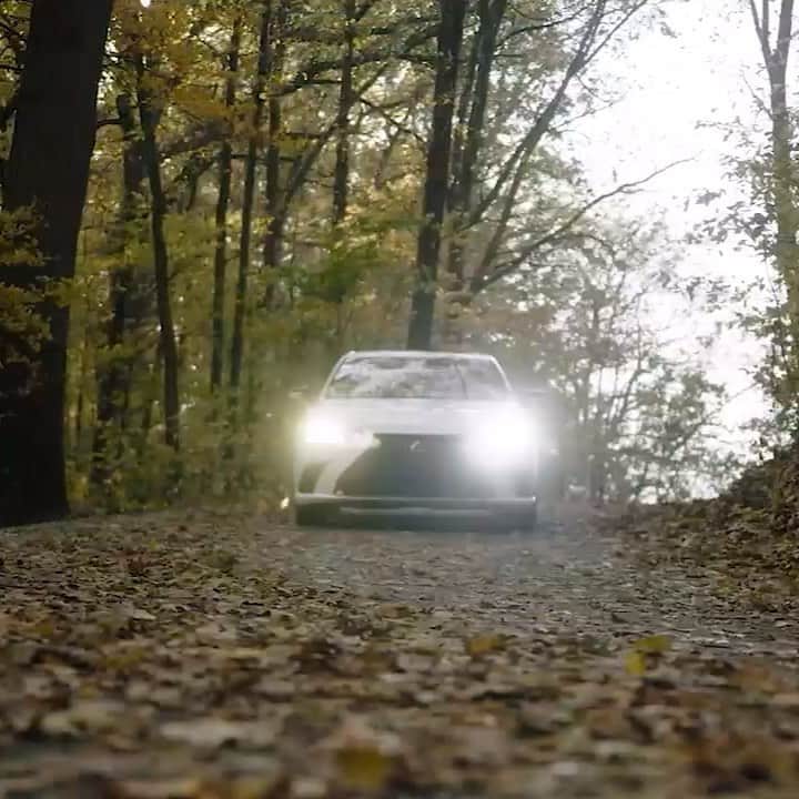 Lexus USAのインスタグラム：「Hit the road. Watch the leaves change. Enjoy the ride. Happy #FirstDayOfFall from Lexus!」