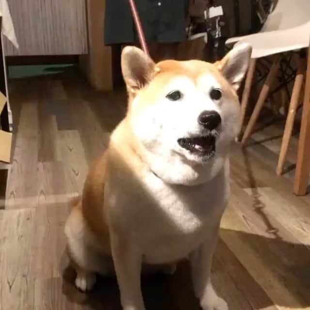 こなつのグルメインスタ