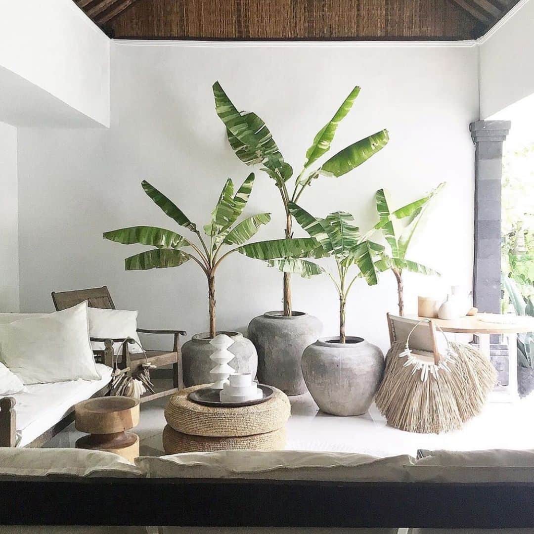 My Interiorさんのインスタグラム写真 - (My InteriorInstagram)「Tropical 🏝 love, every home needs a plant 🌱 do you agree? Green love all the way 💕 by @craigmilran」9月24日 0時14分 - myinterior