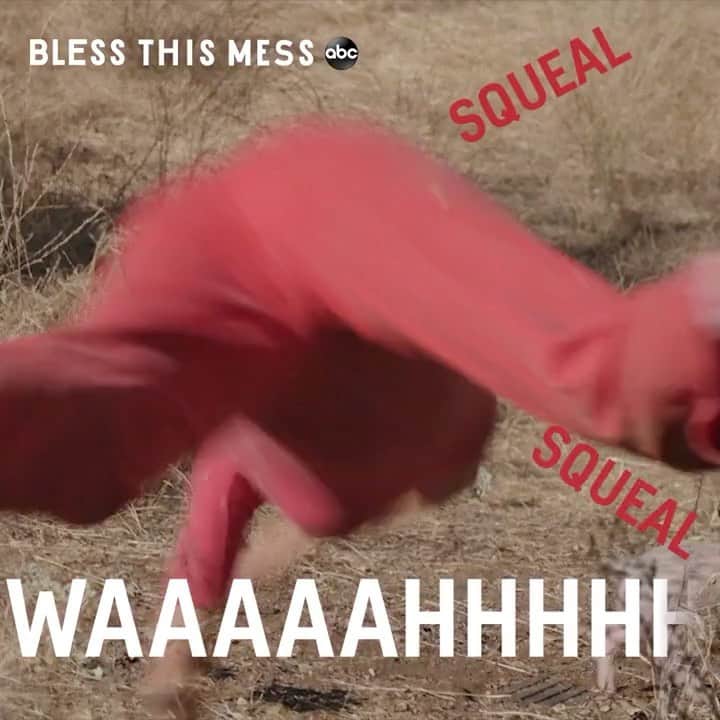 レイク・ベルのインスタグラム：「LIFE IS MESSY. @blessthismesstv PREMIERES TOMORROW 8:30pm/7:30pm central! 🐷@abcnetwork」