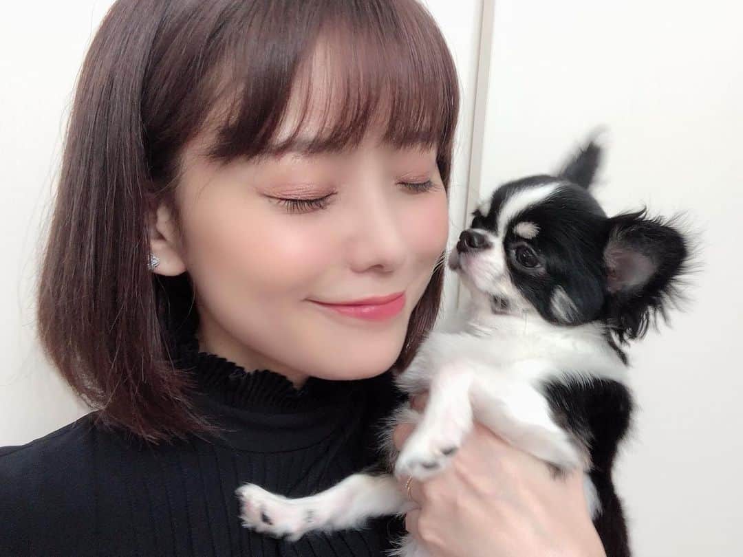 林村ゆかりさんのインスタグラム写真 - (林村ゆかりInstagram)「今週も新しい気持ちで頑張ります✨ ⠀  今週はビゴライブでかなり長めに配信してるのでふらっと遊びに来てください🗼林村ゆかりで検索すると出てきます♪ ⠀ ⠀ ＃ライバー#ライブ配信#liver#bigo#bigolive#ビゴライブ#chiwawa#dog#dogstagram #tokyo#japan#selfie#自撮り」9月24日 12時23分 - yukarice0