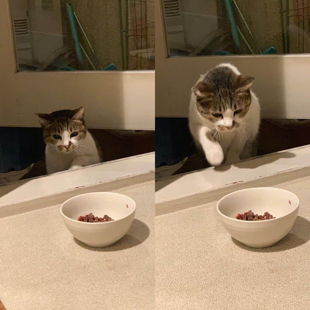 江口寿史のインスタグラム
