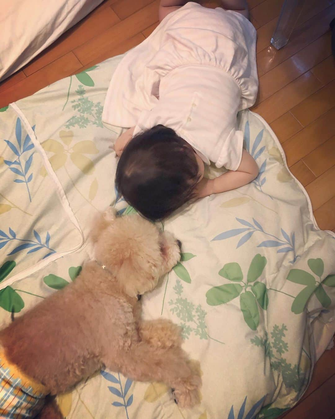 田中理恵さんのインスタグラム写真 - (田中理恵Instagram)「❤️アトムと娘❤️ わんわんが大好きな娘です‼︎」9月24日 12時53分 - riiiiiie611