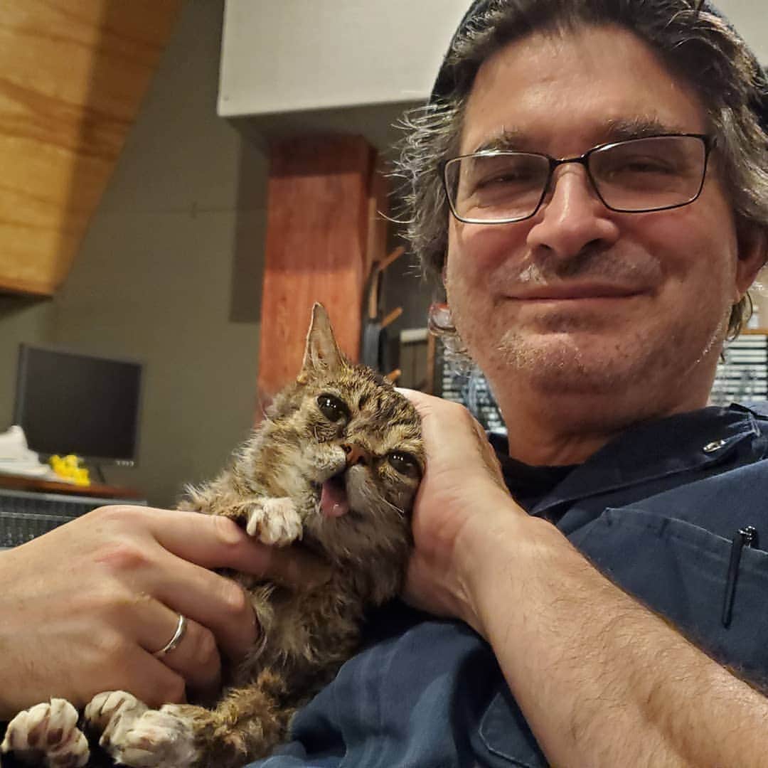 Lil BUBさんのインスタグラム写真 - (Lil BUBInstagram)「BUB is back in the studio with her main squeeze Steve Albini. Look out for some hot new tracks. #lilbub + #stevealbini = #scienceandmagic」9月24日 5時57分 - iamlilbub