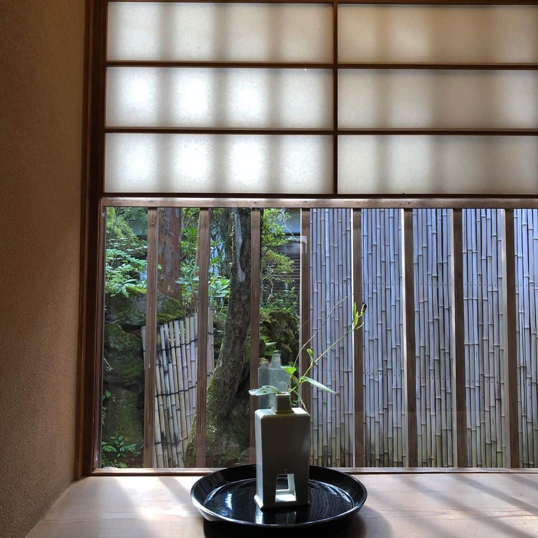 行正り香さんのインスタグラム写真 - (行正り香Instagram)「湯河原から、おはようございます。友人と温泉に。今日はいい天気です。最後の夏を味わいたいと思います。#行正り香 #rikayukimasa #カラオケenglish #湯河原#温泉」9月24日 8時55分 - rikayukimasa