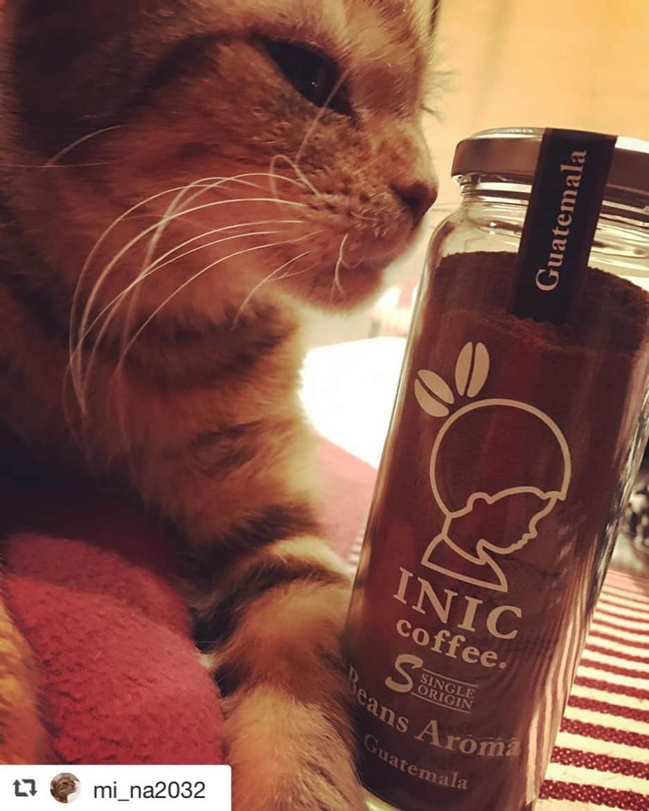 INIC coffeeのインスタグラム