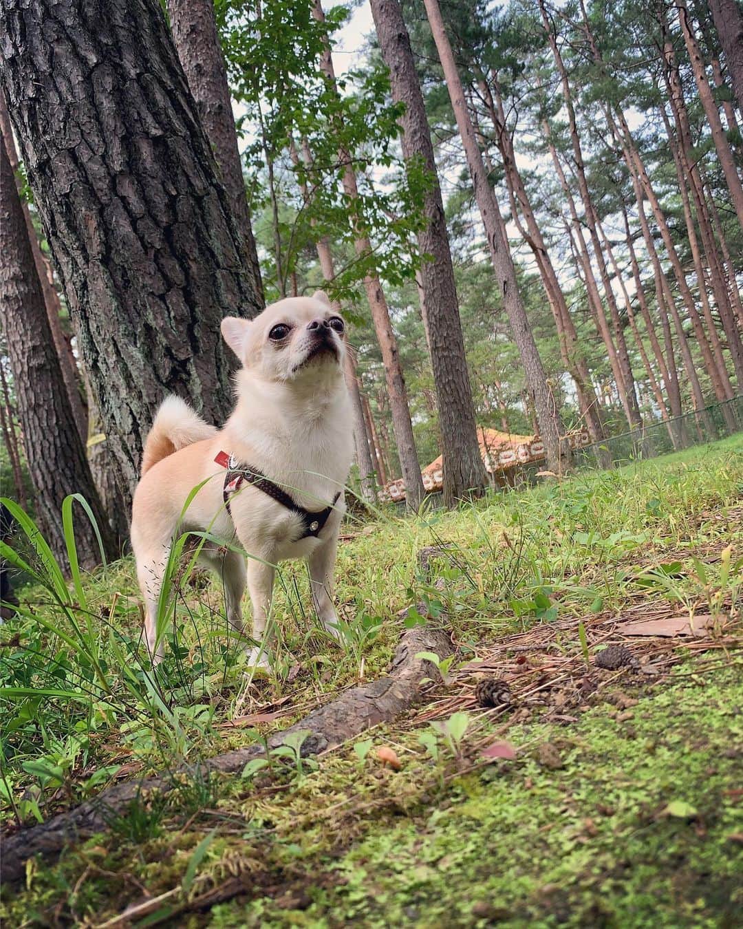 巴田みず希のグルメインスタ
