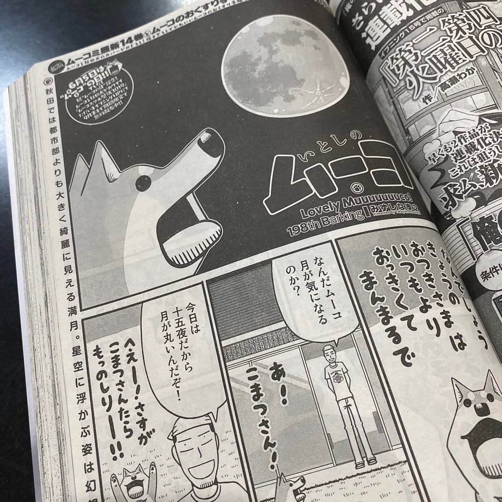 みずしな孝之のインスタグラム：「本日発売・講談社イブニングに 「いとしのムーコ」第198話掲載されてます。 ちょっと遅れましたが十五夜のお話です。 丸いよ！ そして、次号は単行本15巻の作業のため お休みとなります。ご了承ください！」