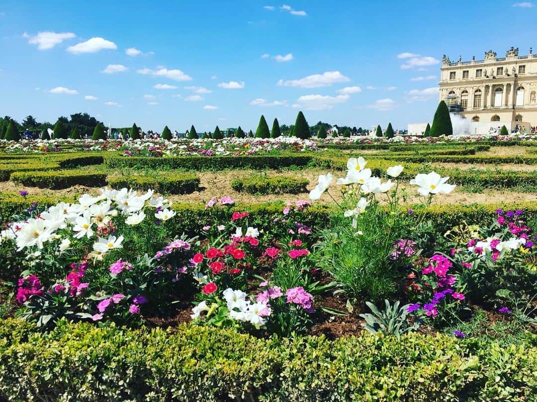 小橋めぐみのインスタグラム：「ヴェルサイユ宮殿の庭園。 フランス式庭園の傑作といわれる100万㎡以上の広大な敷地に植えられた花々💐 スケールの大きさと、咲く花の優しさに、 栄華と孤独を想う。 #chateauversailles」