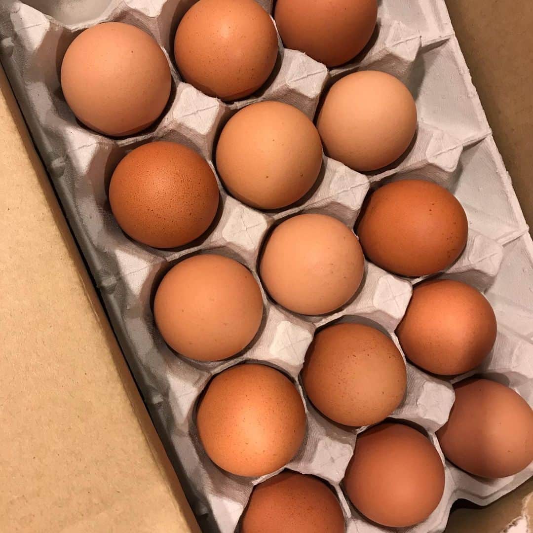 大友愛さんのインスタグラム写真 - (大友愛Instagram)「新鮮な卵さん🥚💋🎶 卵かけごはん 目玉焼き 最高の朝ごはん☀️👍 ゆうこさんありがとーございます。 また色々お話ししましょーーーッ🧡🧡🧡 @yukose19  @akirakose  色んな方との出会いを作ってくれる @koseiinoue_official  @akihigashihara  井上夫妻に感謝ッ❤️ #大切な繋がり」9月24日 11時50分 - ai_dayooon