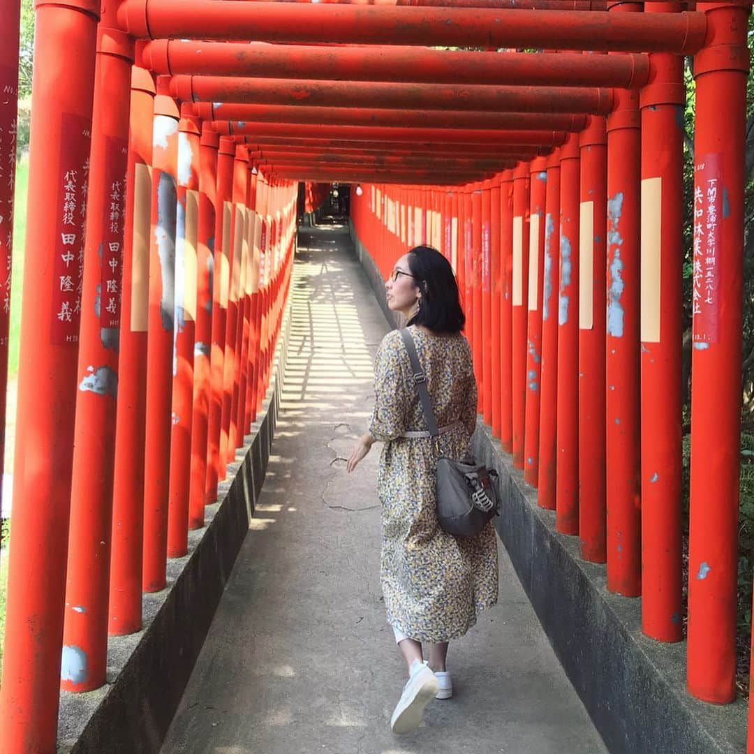 塚田文さんのインスタグラム写真 - (塚田文Instagram)「山口県北西部満喫旅(2)  山口県下関市豊浦町  福徳稲荷神社 (御利益は幅広くなんでも大丈夫そうです（笑）) 響灘を望む高台にあって、眺めは最高に良い👍✨夕日の時間がお薦めtimeだったみたい😅  夕日に合わせた観光地巡りってなかなか難しい😣。夕日が思ったように見えないことが多いから。  但しここは何時に行っても景色が良いことに間違いは無いので、ちょこっと寄り道スポットに最適です✨  個人的な注目処は千本鳥居⛩  ん😶❓あれ😮⁉️ よく見たらおそらくビニールパイプ製✨ 親近感わく現代的な鳥居で😬✨ もとい、朱塗りの大鳥居の奥に広がる海と島の景色は一見の価値有りです🎌  川棚グランドホテルから車で15分ほどの距離。  瓦そばたかせで遅めのランチ→川棚温泉でひとっ風呂→福徳稲荷で夕日……そんなコース展開も良いと思います🚗💨 黄金色の美しい稲穂を見ながらのドライブでした。  #山口県観光 #山口県 #下関市豊浦町 #響灘 #福徳稲荷神社 #眺めがいい #夕日がきれいな場所 #千本鳥居 #ビニールパイプ  #japantrip #japantravel #yamaguchi #yamaguchiken #shimonoseki #toyouracho #fukutokushrine #sunsetspot #viewpoint #thousandtoriigates #madebypvc」9月24日 11時44分 - tsukadaaya1976