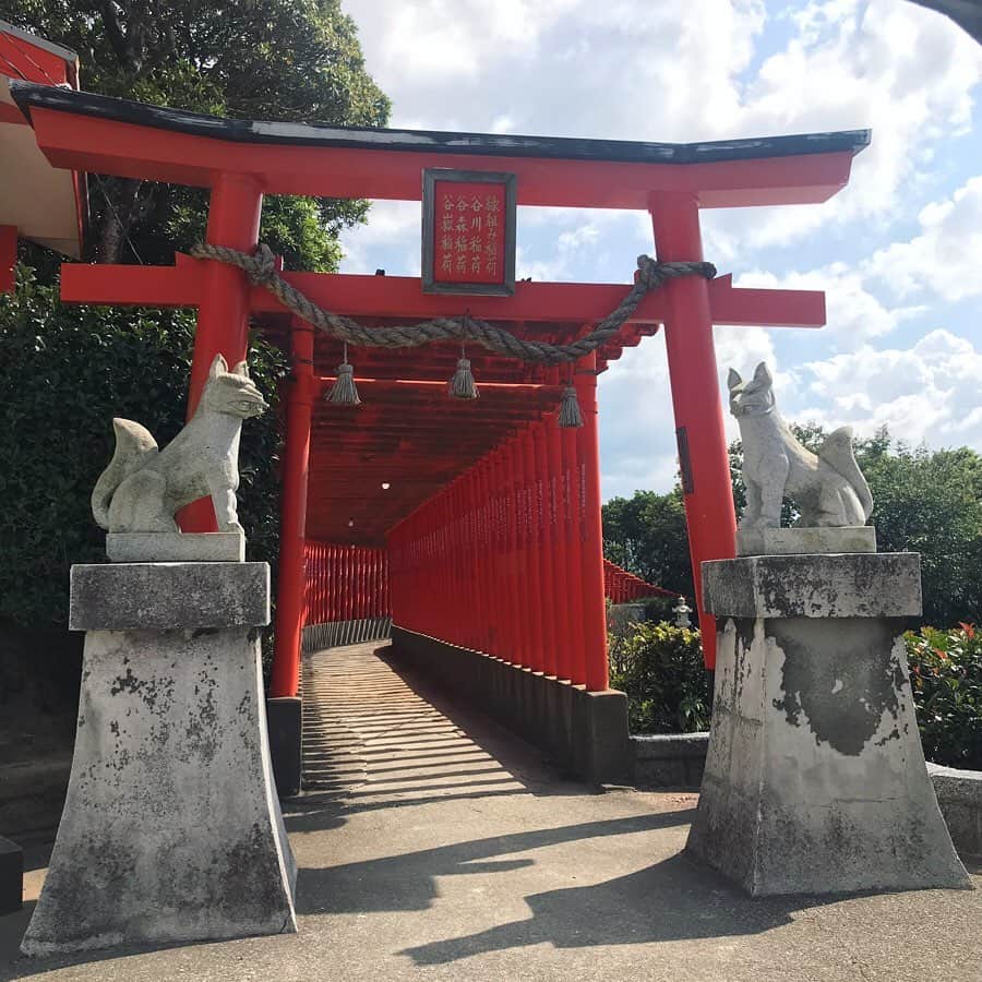 塚田文さんのインスタグラム写真 - (塚田文Instagram)「山口県北西部満喫旅(2)  山口県下関市豊浦町  福徳稲荷神社 (御利益は幅広くなんでも大丈夫そうです（笑）) 響灘を望む高台にあって、眺めは最高に良い👍✨夕日の時間がお薦めtimeだったみたい😅  夕日に合わせた観光地巡りってなかなか難しい😣。夕日が思ったように見えないことが多いから。  但しここは何時に行っても景色が良いことに間違いは無いので、ちょこっと寄り道スポットに最適です✨  個人的な注目処は千本鳥居⛩  ん😶❓あれ😮⁉️ よく見たらおそらくビニールパイプ製✨ 親近感わく現代的な鳥居で😬✨ もとい、朱塗りの大鳥居の奥に広がる海と島の景色は一見の価値有りです🎌  川棚グランドホテルから車で15分ほどの距離。  瓦そばたかせで遅めのランチ→川棚温泉でひとっ風呂→福徳稲荷で夕日……そんなコース展開も良いと思います🚗💨 黄金色の美しい稲穂を見ながらのドライブでした。  #山口県観光 #山口県 #下関市豊浦町 #響灘 #福徳稲荷神社 #眺めがいい #夕日がきれいな場所 #千本鳥居 #ビニールパイプ  #japantrip #japantravel #yamaguchi #yamaguchiken #shimonoseki #toyouracho #fukutokushrine #sunsetspot #viewpoint #thousandtoriigates #madebypvc」9月24日 11時44分 - tsukadaaya1976