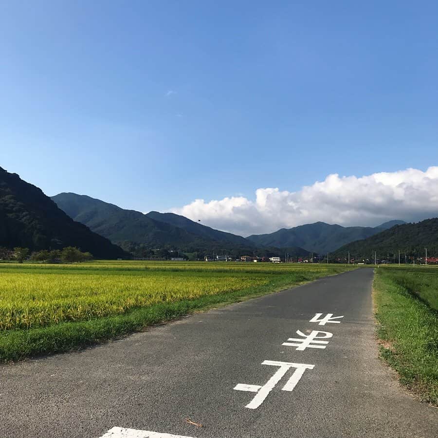 塚田文さんのインスタグラム写真 - (塚田文Instagram)「山口県北西部満喫旅(2)  山口県下関市豊浦町  福徳稲荷神社 (御利益は幅広くなんでも大丈夫そうです（笑）) 響灘を望む高台にあって、眺めは最高に良い👍✨夕日の時間がお薦めtimeだったみたい😅  夕日に合わせた観光地巡りってなかなか難しい😣。夕日が思ったように見えないことが多いから。  但しここは何時に行っても景色が良いことに間違いは無いので、ちょこっと寄り道スポットに最適です✨  個人的な注目処は千本鳥居⛩  ん😶❓あれ😮⁉️ よく見たらおそらくビニールパイプ製✨ 親近感わく現代的な鳥居で😬✨ もとい、朱塗りの大鳥居の奥に広がる海と島の景色は一見の価値有りです🎌  川棚グランドホテルから車で15分ほどの距離。  瓦そばたかせで遅めのランチ→川棚温泉でひとっ風呂→福徳稲荷で夕日……そんなコース展開も良いと思います🚗💨 黄金色の美しい稲穂を見ながらのドライブでした。  #山口県観光 #山口県 #下関市豊浦町 #響灘 #福徳稲荷神社 #眺めがいい #夕日がきれいな場所 #千本鳥居 #ビニールパイプ  #japantrip #japantravel #yamaguchi #yamaguchiken #shimonoseki #toyouracho #fukutokushrine #sunsetspot #viewpoint #thousandtoriigates #madebypvc」9月24日 11時44分 - tsukadaaya1976