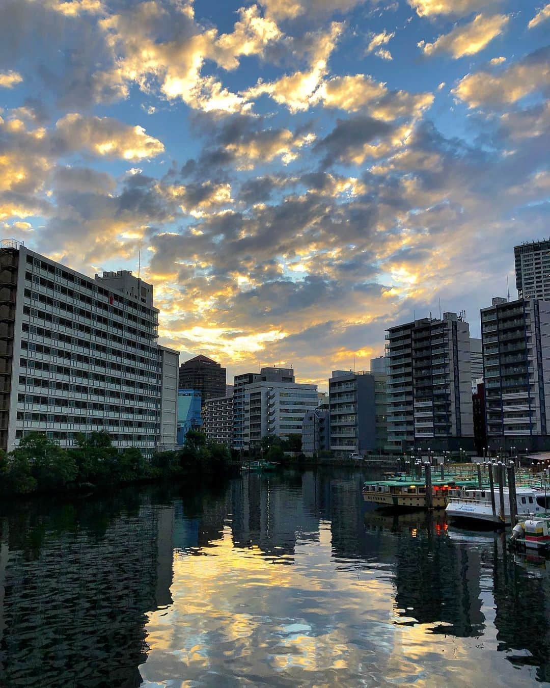 シャウラさんのインスタグラム写真 - (シャウラInstagram)「Guys. The sky today was INSANE. 今日の空本当に凄かった！ #sky #clouds #japan」9月24日 21時48分 - shaula_vogue