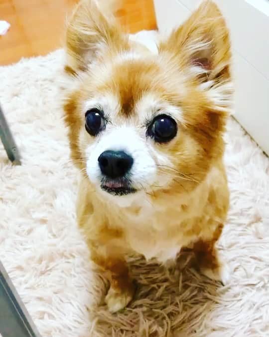真麻のインスタグラム