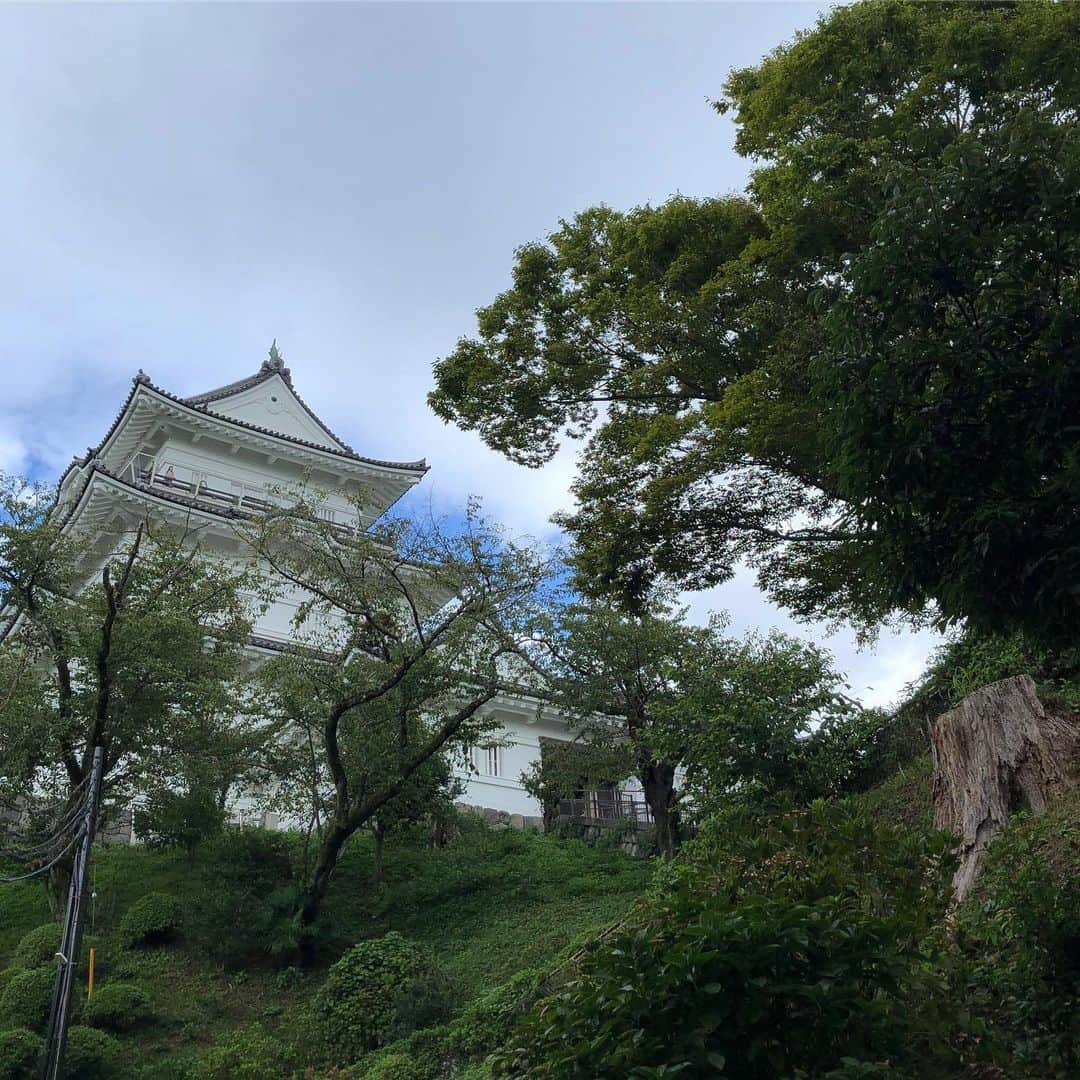 行正り香さんのインスタグラム写真 - (行正り香Instagram)「湯河原から、小田原の松永記念館 老欅荘を見に行きました。何度も落ち着く和空間。こんなところでお茶を一服、いただけたら素敵です。#小田原#松永記念館 老欅荘#行正り香 #rikayukimasa」9月24日 14時00分 - rikayukimasa