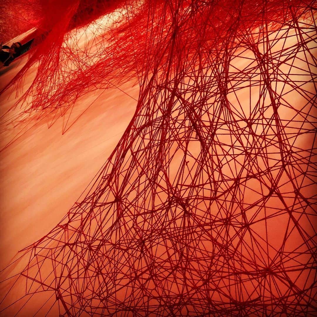 森永理科さんのインスタグラム写真 - (森永理科Instagram)「#塩田千春展魂がふるえる」9月24日 14時21分 - likamorinaga