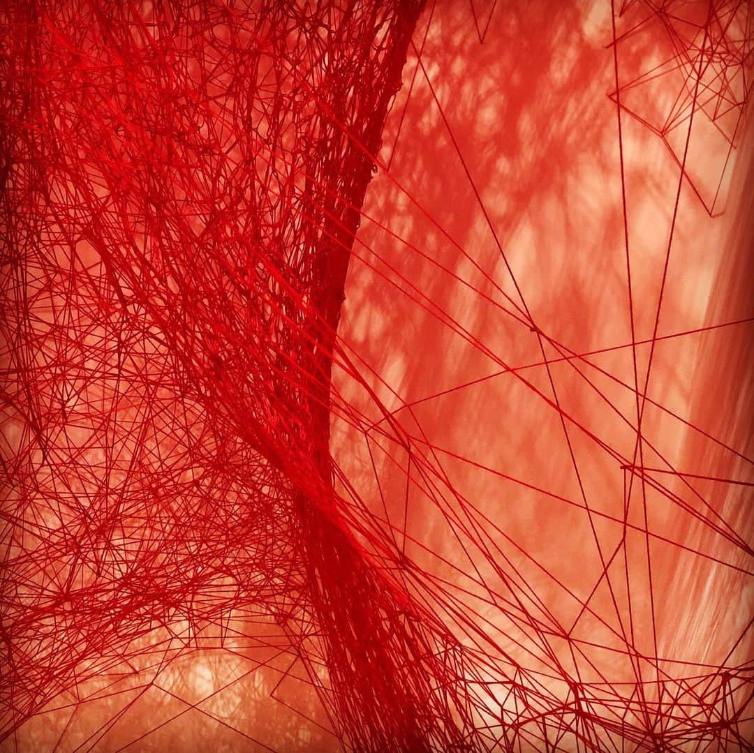 森永理科さんのインスタグラム写真 - (森永理科Instagram)「#塩田千春展魂がふるえる」9月24日 14時21分 - likamorinaga