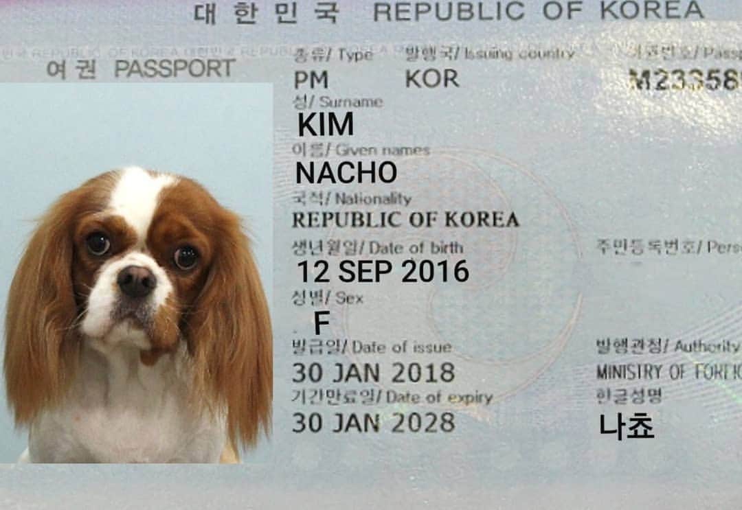 ユラさんのインスタグラム写真 - (ユラInstagram)「여권발급받고 편안히모시겠습니다  나쵸입니당 ㅋㅋㄲㅋㅋㅋㅋ」9月24日 14時23分 - yura_936