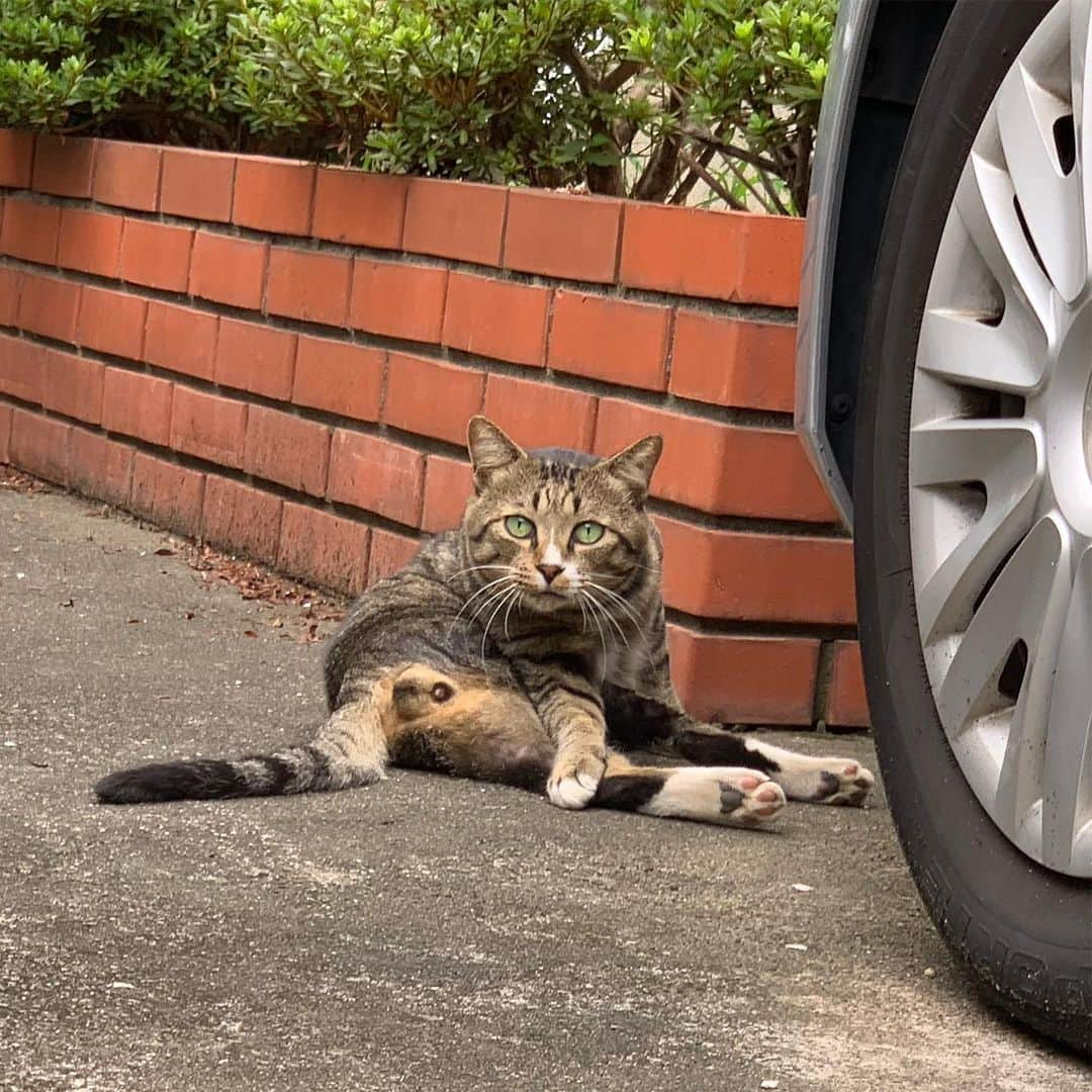 近藤研二のインスタグラム