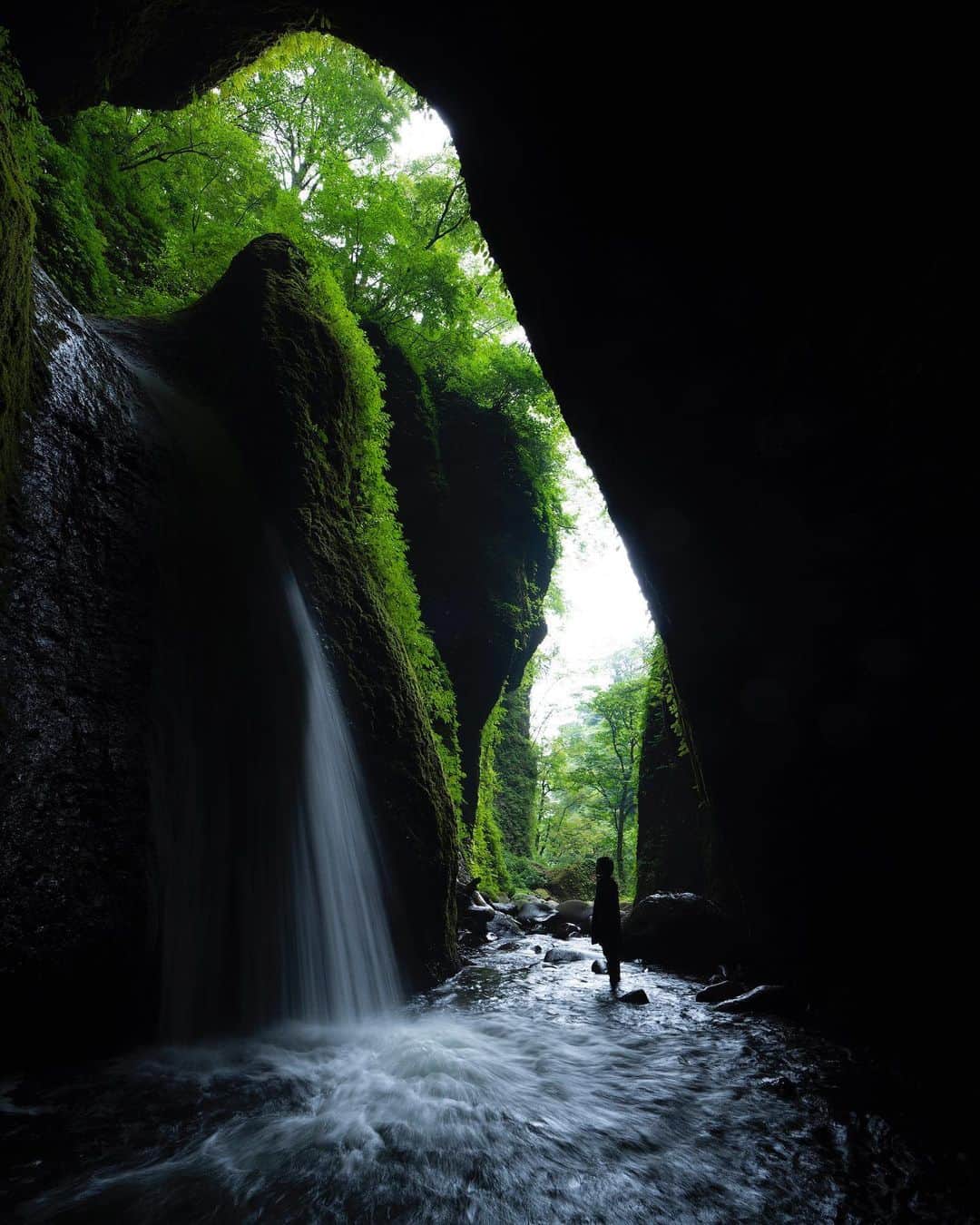 関西電力株式会社さんのインスタグラム写真 - (関西電力株式会社Instagram)「兵庫県美方郡‎ 新温泉町にある「シワガラの滝」は、滝愛好家のなかで人気の高い、知る人ぞ知る名瀑です。 岩の割れ目から洞窟を奥に進むと、白い布を垂らしたように滴り落ちる滝を見ることができます。 ドーム状の神秘的な洞窟のなかで、森の音と滝の水音に耳をすませ、自然を感じるひと時を過ごしてみてください。 ※写真は過去に撮影したものです --------------- ■アクセス JR「津ノ井」駅から約1時間 八鹿氷ノ山ICから約1時間15分  滝入口からシワガラの滝までは、約1.2kmの道のりです。 道中は急な斜面が多く、足元がぬかるむ所もあります。 トレッキングシューズなど、歩きやすい装備・服装でおでかけし、怪我などにはお気を付けください。 --------------- . #滝 #マイナスイオン #ハイキング #神秘的 #自然が好き#自然満喫倶楽部 #神戸カメラ部 #滝好き#兵庫県#新温泉町 #シワガラの滝#絶景 #love_bestjapan  #unknownjapan #loves_united_japan #カメラのある生活 #日本の風景 #ダレカニミセタイケシキ #bestphoto_japan #art_of_japan_ #貴重な体験 #景色最高 #tripgramjp #写真は心のシャッター#その旅に物語を#best_moments_shots #日帰り旅行 #お写んぽ#お写ん歩 #インスタスポット」9月24日 16時12分 - kanden.jp
