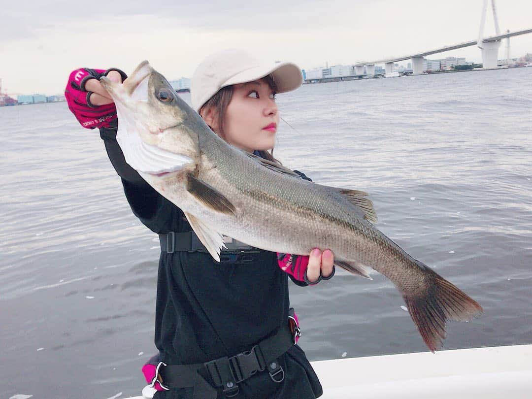 門脇佳奈子さんのインスタグラム写真 - (門脇佳奈子Instagram)「⭐️ 57㌢の #シーバス やったーーーーー🎣⭐️⭐️⭐️ * * * 詳しくは #youtube 『かなきちの釣り日和』チャンネルにて☺️ https://www.youtube.com/channel/UCquZnWSCGQnlC61uVCxALiQ」9月24日 17時16分 - kanakoofficial