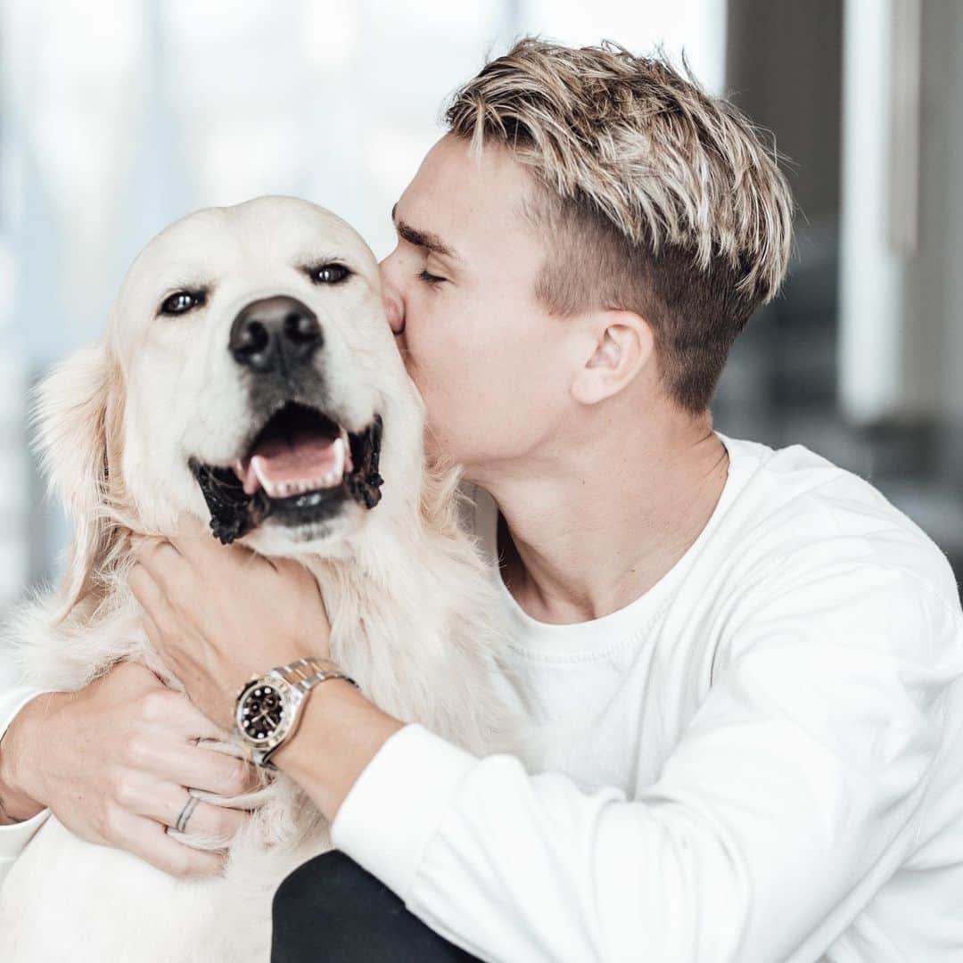 フェリックス・クラウスのインスタグラム：「Man kann auch ohne Hund leben , aber es lohnt sich nicht ! 🙏」