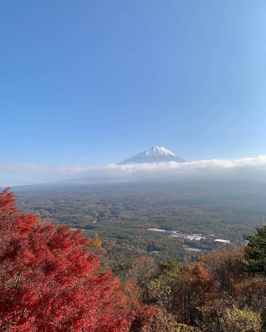 関川良さんのインスタグラム写真 - (関川良Instagram)「もう少しで秋だ。」9月24日 23時05分 - ryosekikawa