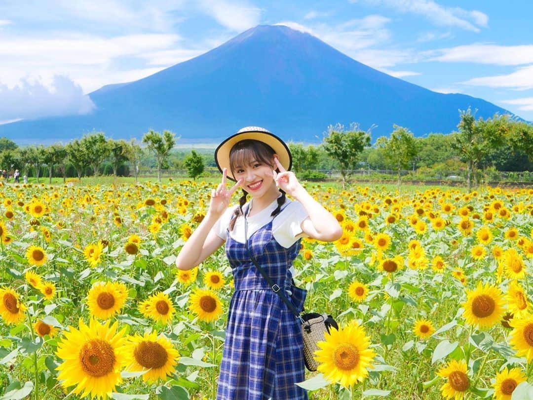 下口ひななのインスタグラム：「🌻🌻🌻﻿ ﻿ ﻿ ﻿ ﻿ 念願のひまわり畑！﻿ 前から行ってみたかったんだ〜✨﻿ ﻿ 向日葵と緑と青い空と富士山！！！﻿ ﻿ 夏って感じだなぁ〜﻿ ﻿ また来年も行きたい🍀 ﻿ #花の都公園 #ひまわり畑 #富士山 #なつのおもいで #山梨 #山梨旅行」