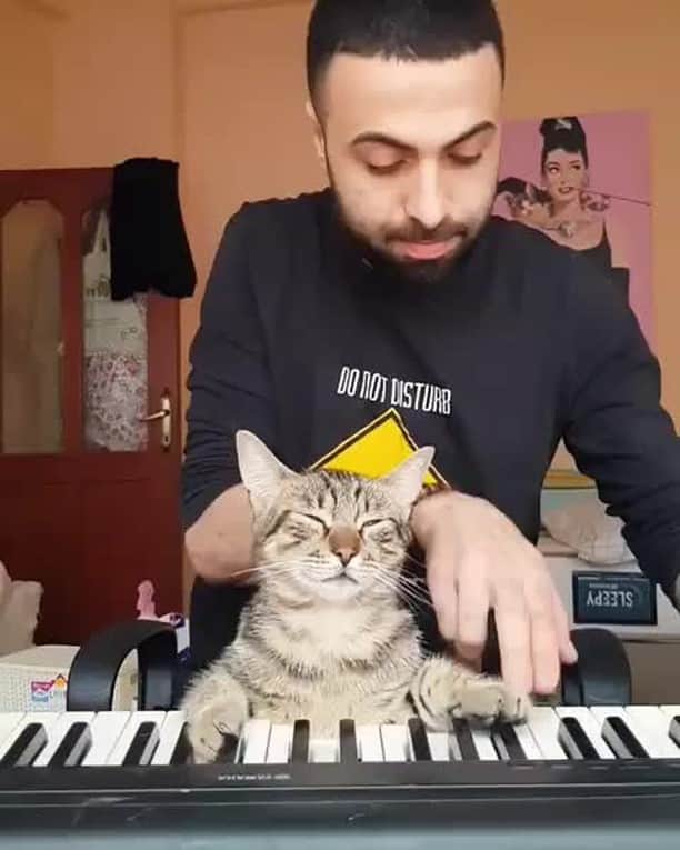 Aww Clubのインスタグラム