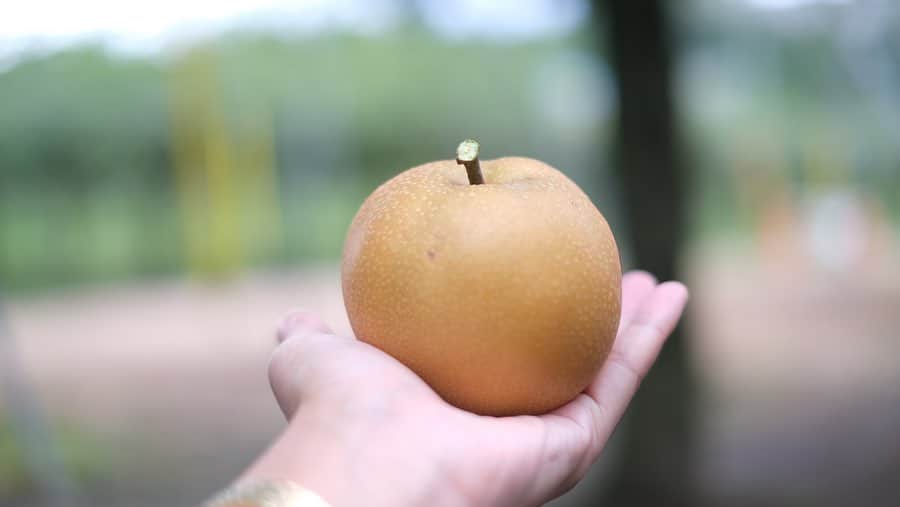 奥田順子のグルメインスタ