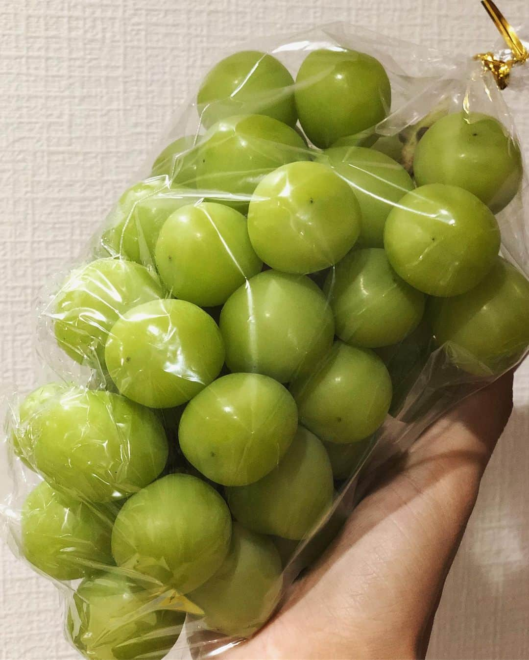 加藤夏希さんのインスタグラム写真 - (加藤夏希Instagram)「🍇💕 とても立派なぶどうが届きました(*´︶`*)❤ ぶどうが大好きな私と娘はやったーっておおはしゃぎ😍 大粒がたまりません！！ #渡辺農園  #山梨県 @watanabe__farm」9月24日 20時26分 - natsukikato_official