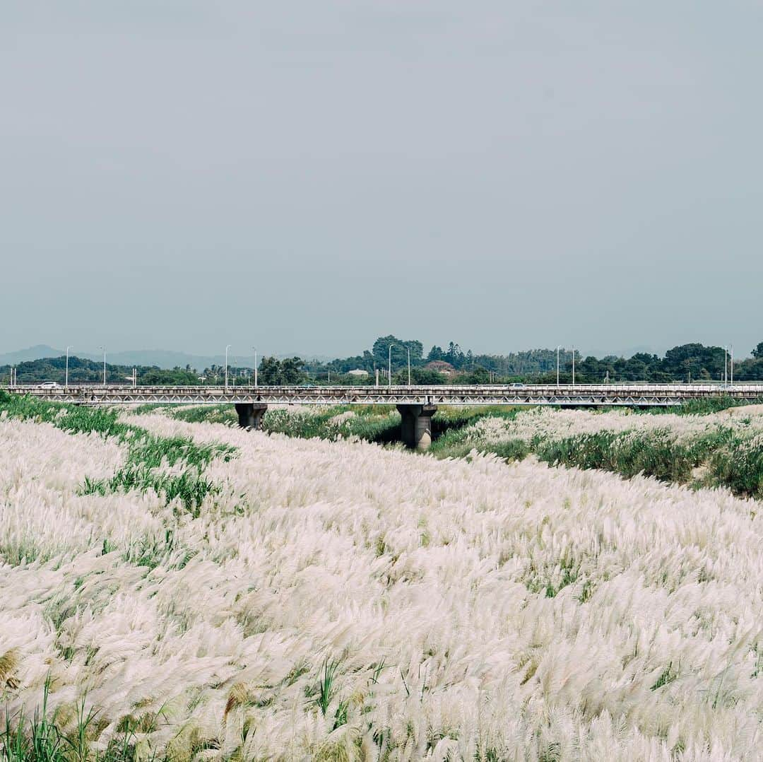 李翔さんのインスタグラム写真 - (李翔Instagram)「天涼好個秋 - #SonyA7M3 #sel85f18  @sonytaiwan @sonyalpha」9月24日 20時34分 - rookie030