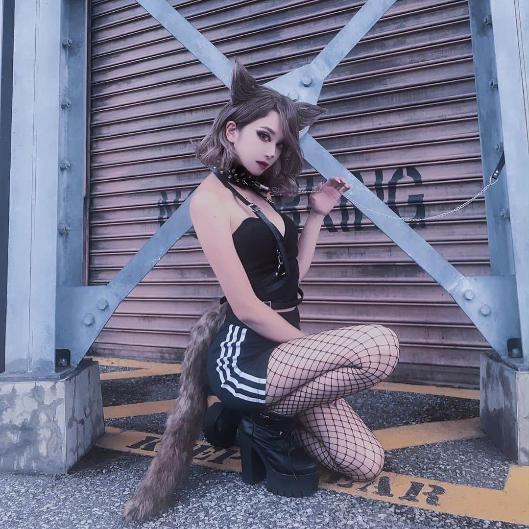 okamotosayaka のインスタグラム：「🐺🐺🐺 . Halloween仮装🥀 . オオカミちゃん！！ . . . . . . . . #halloween#halloweencostume#halloweenmakeup#usj#fashion#cosplay#makeup#adidas#wig#wolf#ハロウィン#ハロウィンコスプレ#ハロウィン仮装#仮装#コスプレ#ユニバ#ユニバ仮装#ユニバハロウィン#狼#ファッション#アディダス#ハロウィンメイク」