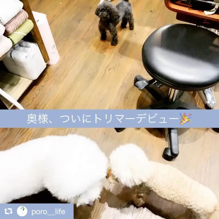 カズオPのインスタグラム