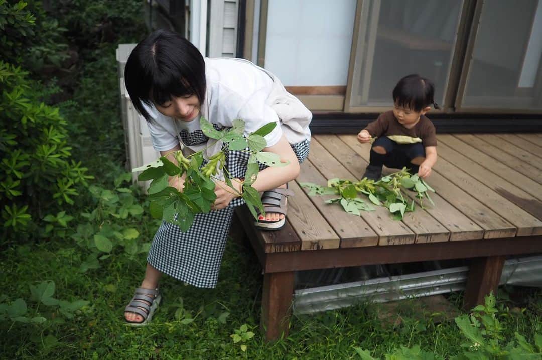 maatamagosanのインスタグラム：「夢眠書店の庭の畑で育てた枝豆収穫。枝豆大好き娘はいつもよりもりもりたくさん食べてた。」
