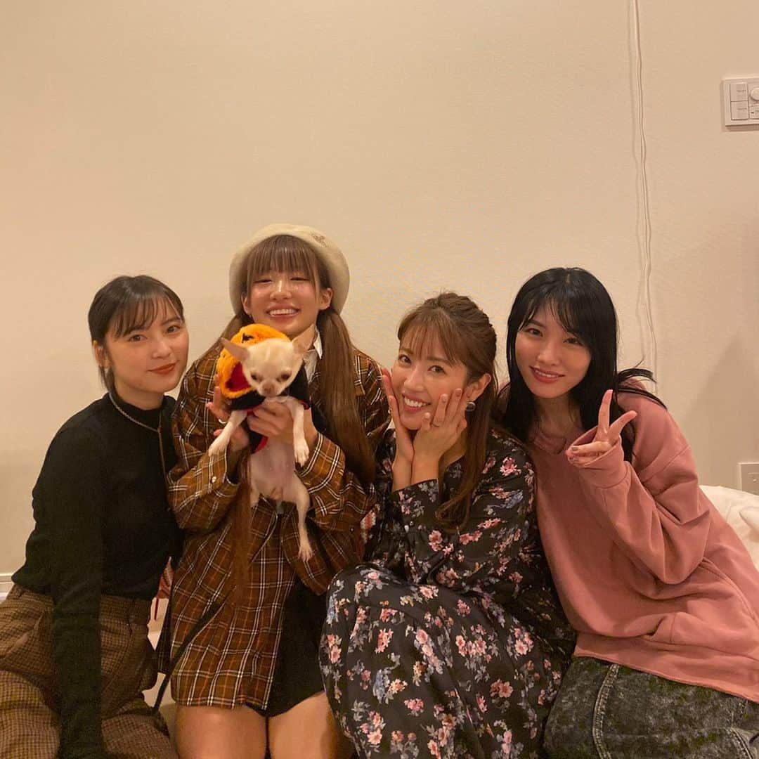 今野杏南さんのインスタグラム写真 - (今野杏南Instagram)「* くみちゃん家に遊びに行きました🥰🥰 くみちゃん手料理が美味しすぎて...🥺🥺🥺🥺💕 みんなで語り尽くして楽しくて幸せな時間でした🌹 ひかりちゃんのビルスとくみちゃんのロワアムさん揃ってめちゃめちゃ賑やかだった🤣🤣💕 ロワさんとアムさんが美猫すぎてメロメロ🤤💓 * *」10月24日 10時38分 - anna_konno0615