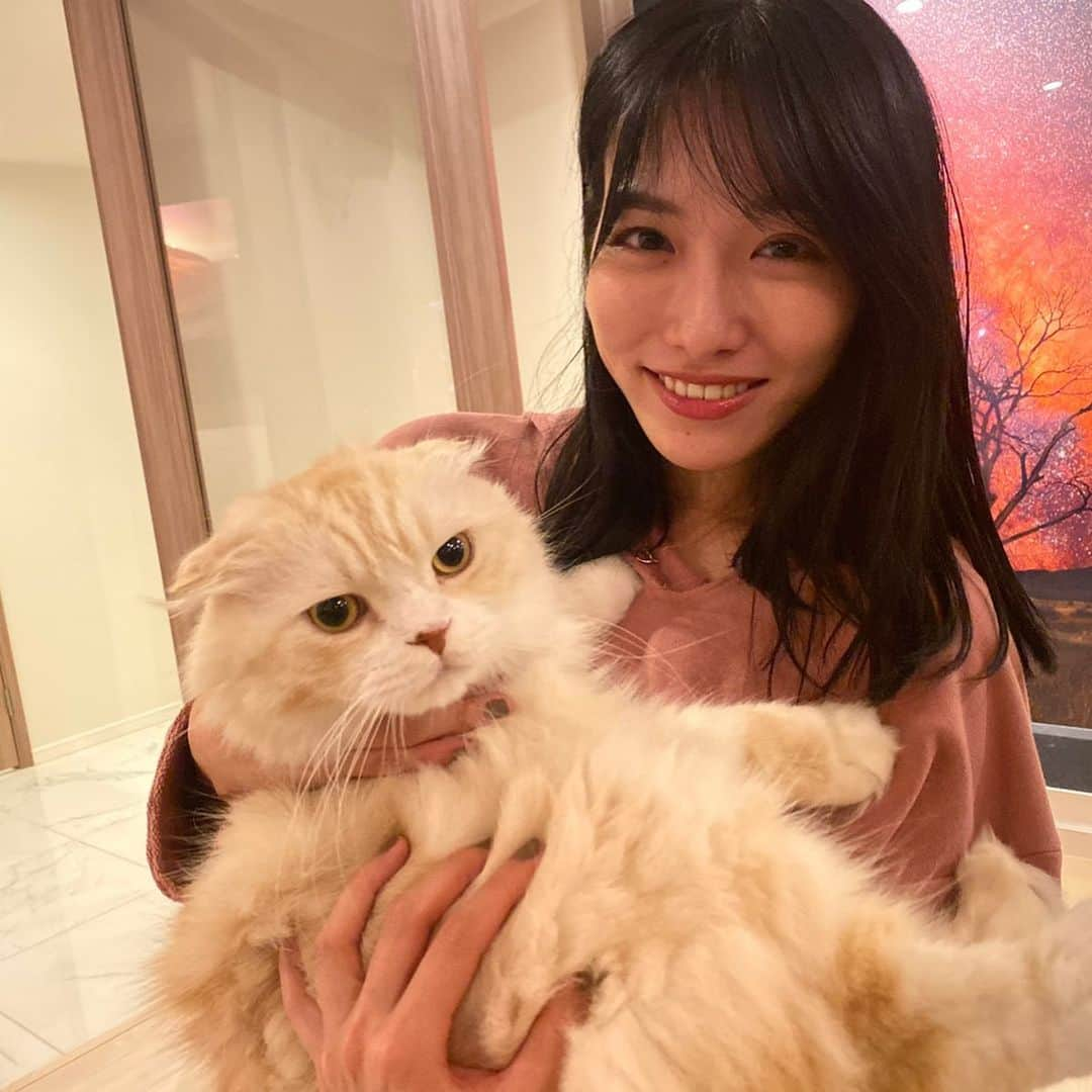 今野杏南さんのインスタグラム写真 - (今野杏南Instagram)「* くみちゃん家に遊びに行きました🥰🥰 くみちゃん手料理が美味しすぎて...🥺🥺🥺🥺💕 みんなで語り尽くして楽しくて幸せな時間でした🌹 ひかりちゃんのビルスとくみちゃんのロワアムさん揃ってめちゃめちゃ賑やかだった🤣🤣💕 ロワさんとアムさんが美猫すぎてメロメロ🤤💓 * *」10月24日 10時38分 - anna_konno0615