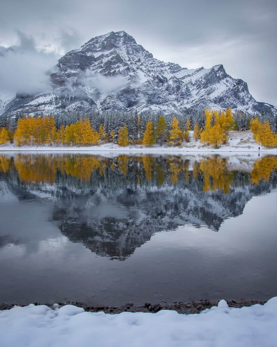 National Geographic Travelさんのインスタグラム写真 - (National Geographic TravelInstagram)「Photo by @kahliaprilphoto | Fall colors battle to hang on as the first snow of the winter settles over the Canadian Rockies.」10月24日 5時06分 - natgeotravel