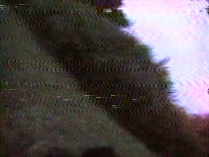 UNIFのインスタグラム：「☆.。. *・° @elliethatchr ☆.。.*・° ♪♪ : Hrvatski - Insect Digestion Melancholy」