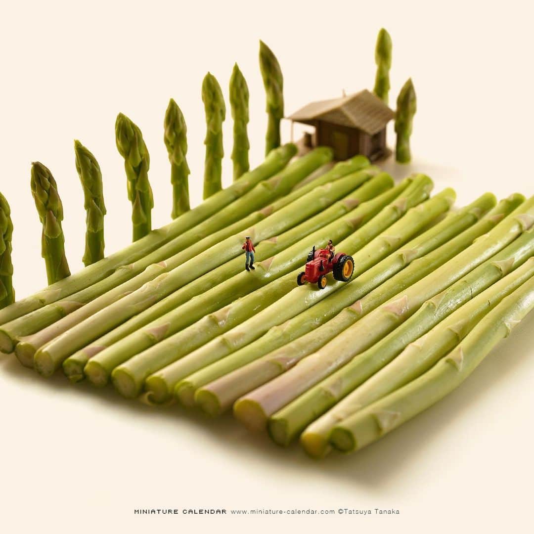 田中達也さんのインスタグラム写真 - (田中達也Instagram)「. 10.24 thu “Asparagus Farming” . 朝っぱらからガス欠＝アスパラガス . #アスパラガス #畑 #このあとおいしくいただきました #Asparagus #Farm ─────────────── 《Event info》 . 【MINIATURE LIFE展 in 金沢】 Miniature Life Exhibition in Kanazawa 10/18 fri - 11/4 mon #金沢21世紀美術館 にて #MiniatureLife展 #ミニチュアライフ展 . 【MINIATURE LIFE POP-UP SHOP】 10/18 fri - 11/10 thu #ヒビヤセントラルマーケット にて .」10月24日 6時10分 - tanaka_tatsuya