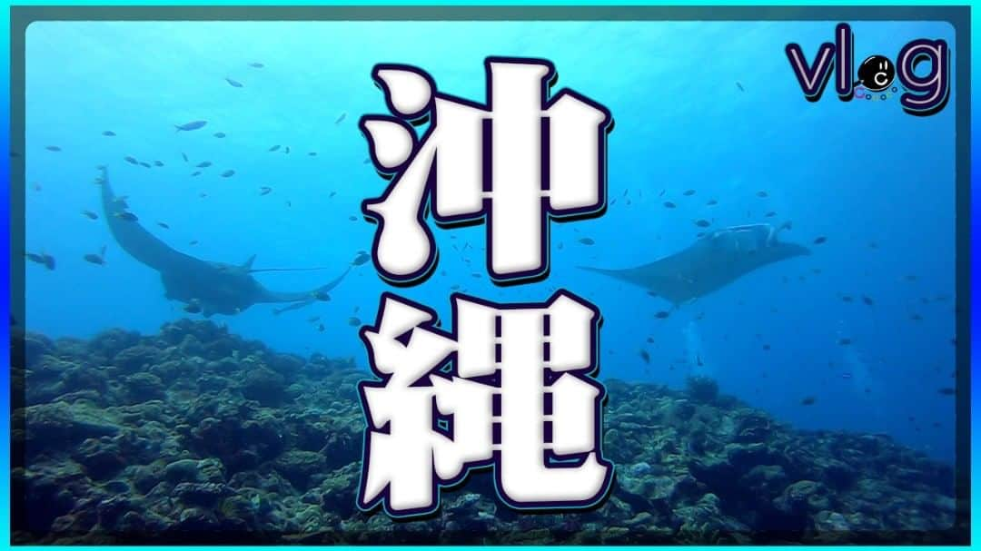 シェフ大西のインスタグラム：「【COCOCORO動画】 10月は長期休暇をいただいて大西が一人旅で沖縄に行ってきました！ せっかくなのでちょっとだけカメラを回してその様子をほんの一部お届けします！  https://youtu.be/w_o9Kml7lyY  #COCOCORO #YouTube #動画 #Vlog #沖縄 #旅 #ダイビング #マンタ #ツーリング #秋 #休暇 #報告」