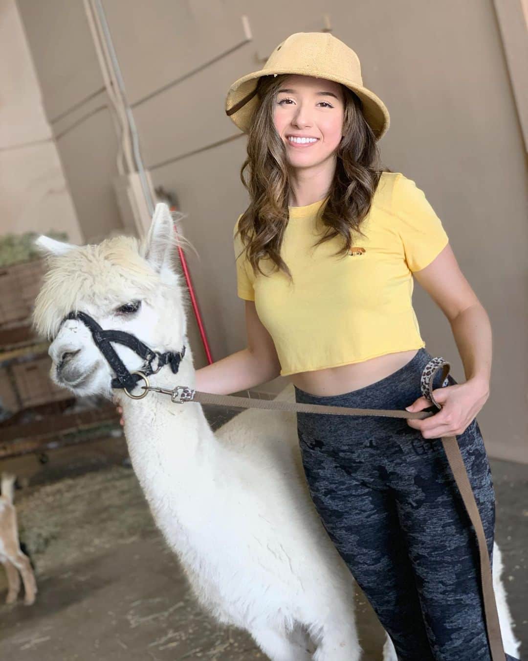 Pokimaneさんのインスタグラム写真 - (PokimaneInstagram)「animals are friends ☺️🦔🦆🐍 💖 ⁣ ⁣ ⁣ ⁣ ⁣ ⁣ recently went to a mobile zoo and got to hold so many different types of animals, from alpacas to chickens to all sorts of lizards/reptiles, and even big furry spiders 😅 it was fun to get past the bit of fear most humans hold towards “wild animals”, and realize that they can be sweet creatures as well, especially when we don’t pose a threat to them. biggest surprise was how surprisingly soft big spiders can be.. 😳」10月24日 8時15分 - pokimanelol